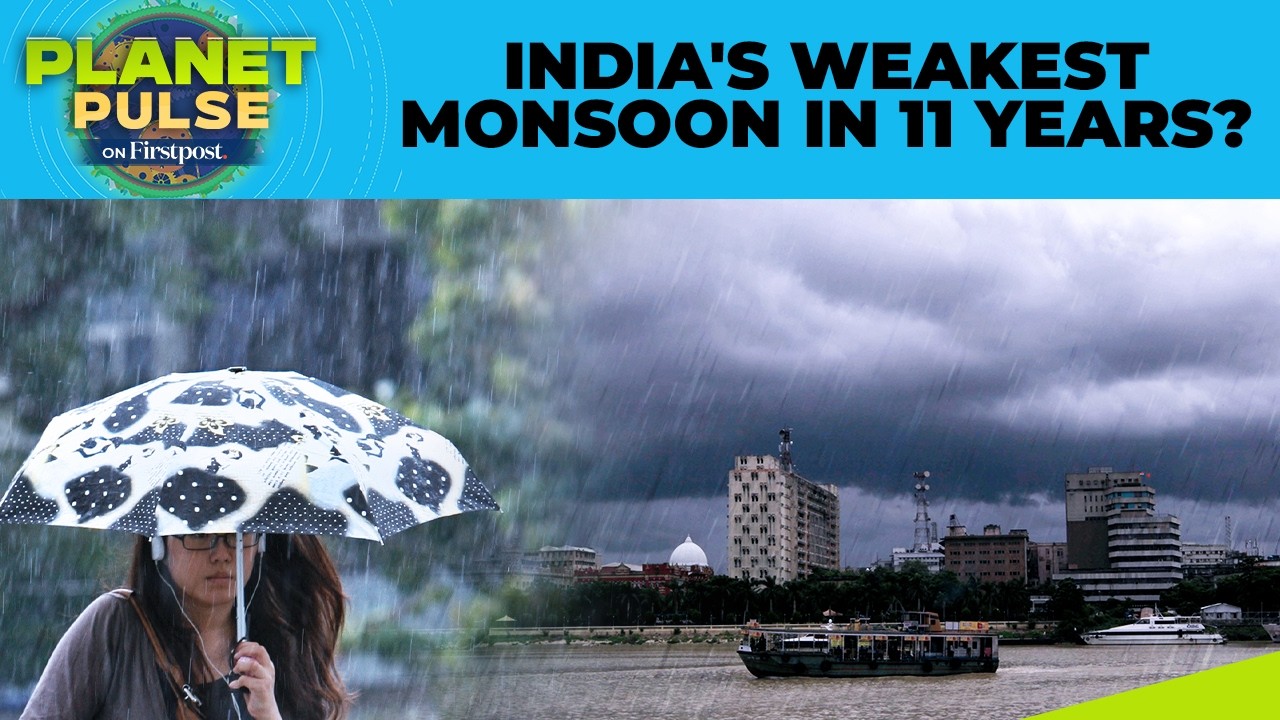 India: Monsoon Arrives Under Cloud of Doubt Amid El Nino Alarm | Planet Pulse | N18G
