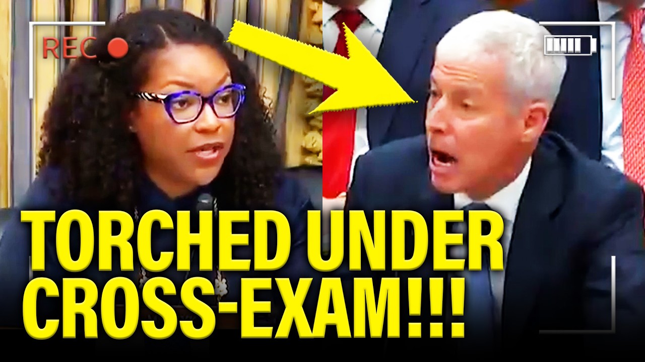 Trump Witness TORCHED under CROSS-EXAM at Hearing