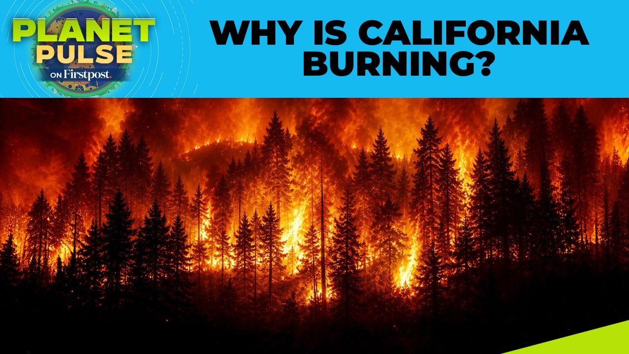 California’s Wildfire Crisis Deepens as 54,000 Acres Go Up in Flames | Planet Pulse