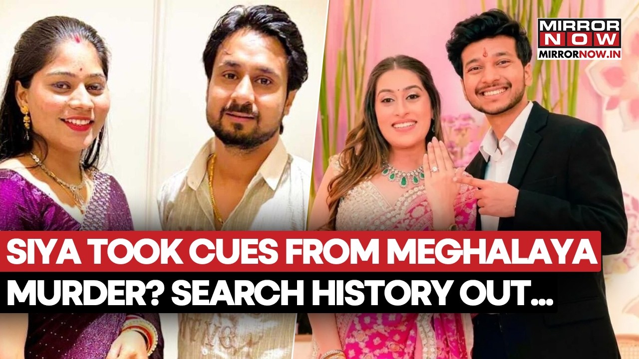 Ketan Aggarwal Murder Case: Siya Goyal Took Cues From Meghalaya Murder Case? Web Search History Out