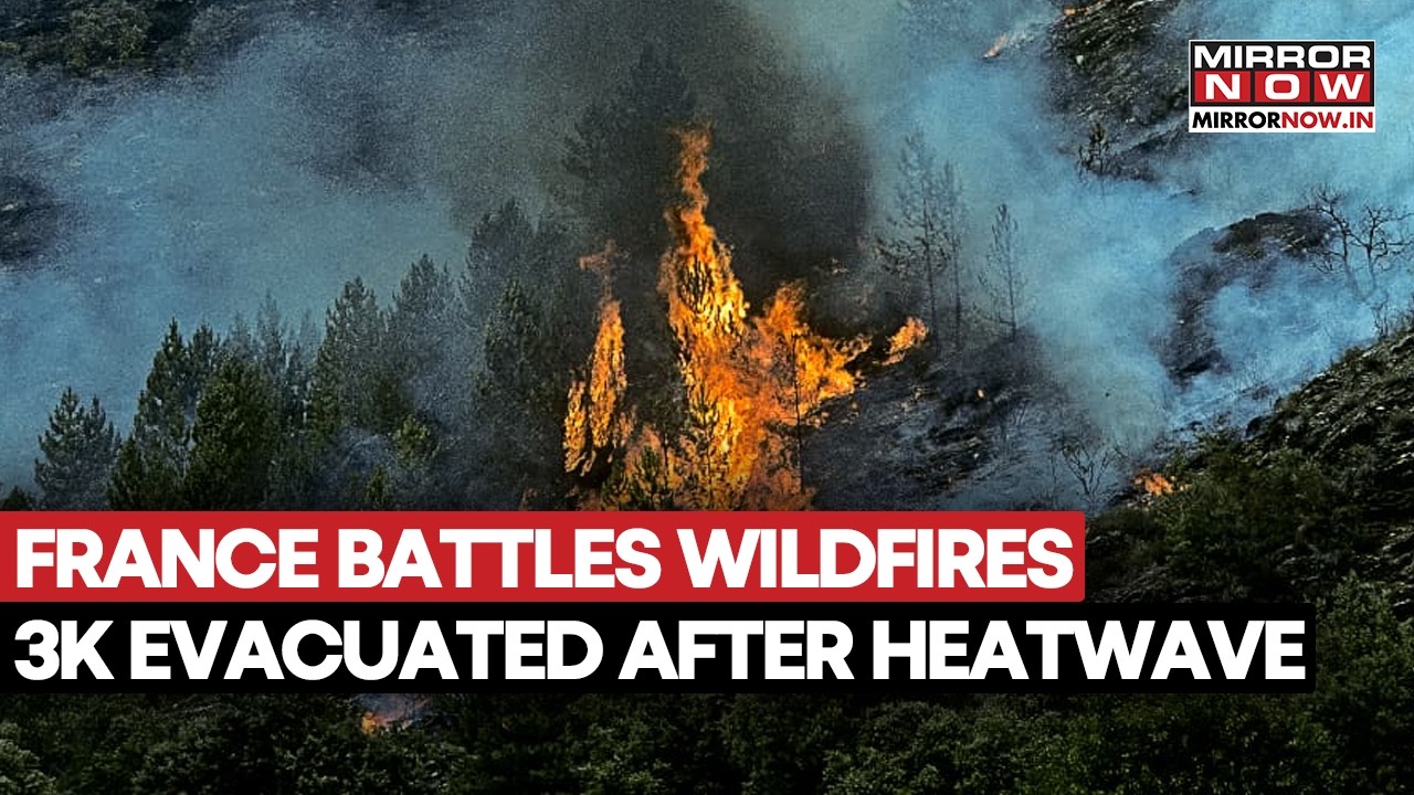 France Battles Wildfires 3000 People Evacuated After Heatwave; 2,000 Firefighters Deployed