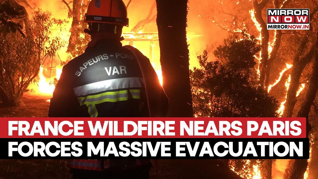 France: Massive Wildfires Near Paris Force Around 1000 To Evacuate, Travel Disrupted | Watch