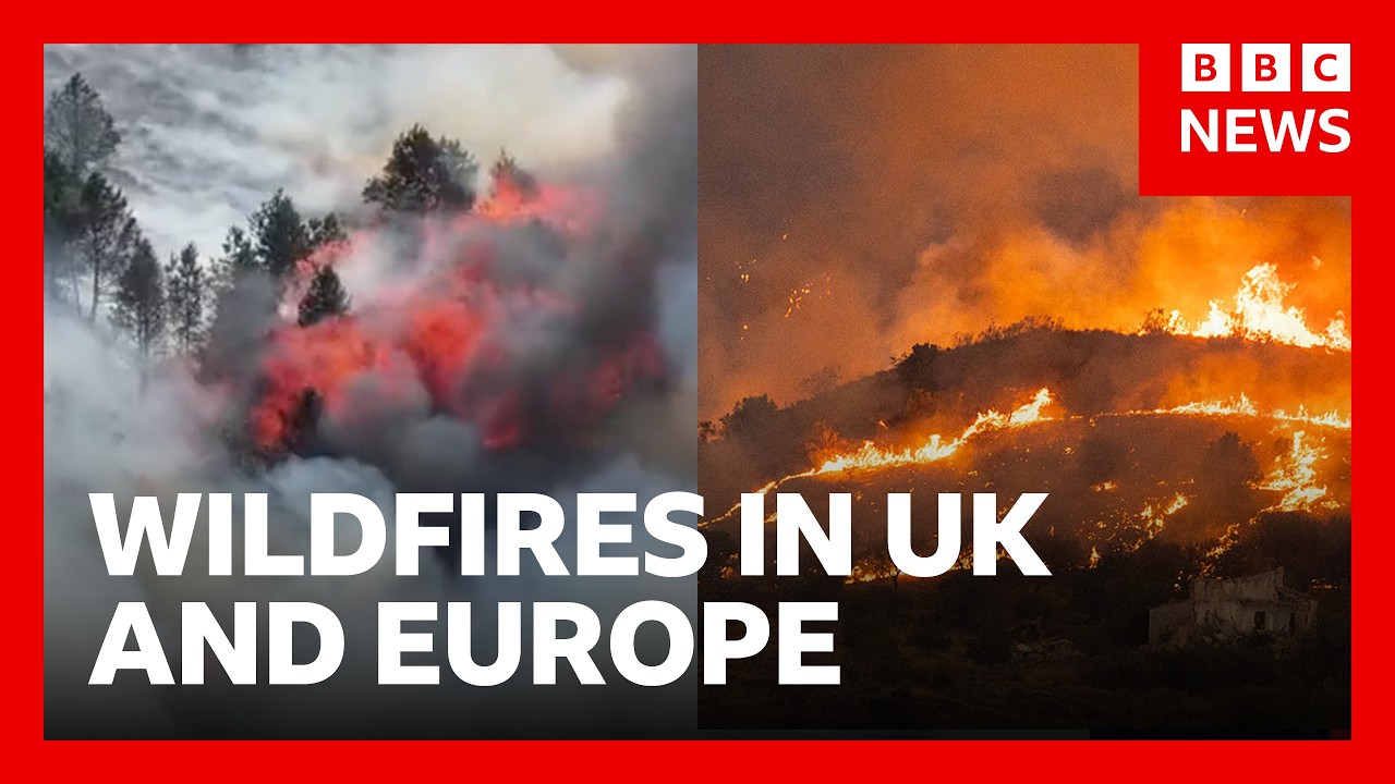 Wildfires in the UK and Europe as heatwaves continue | BBC News