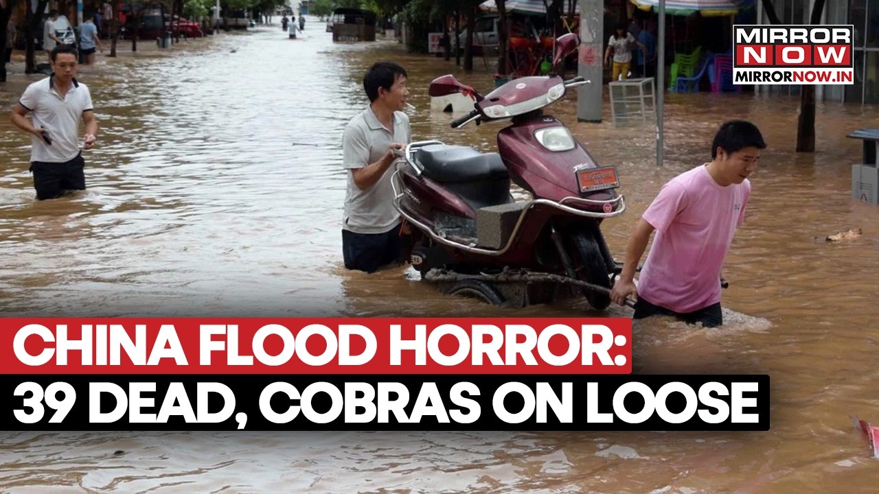 China Flood Horror! 39 Dead, 900 Cobras Escape After Dam Collapse | Zoo Animals Roam Flooded Streets