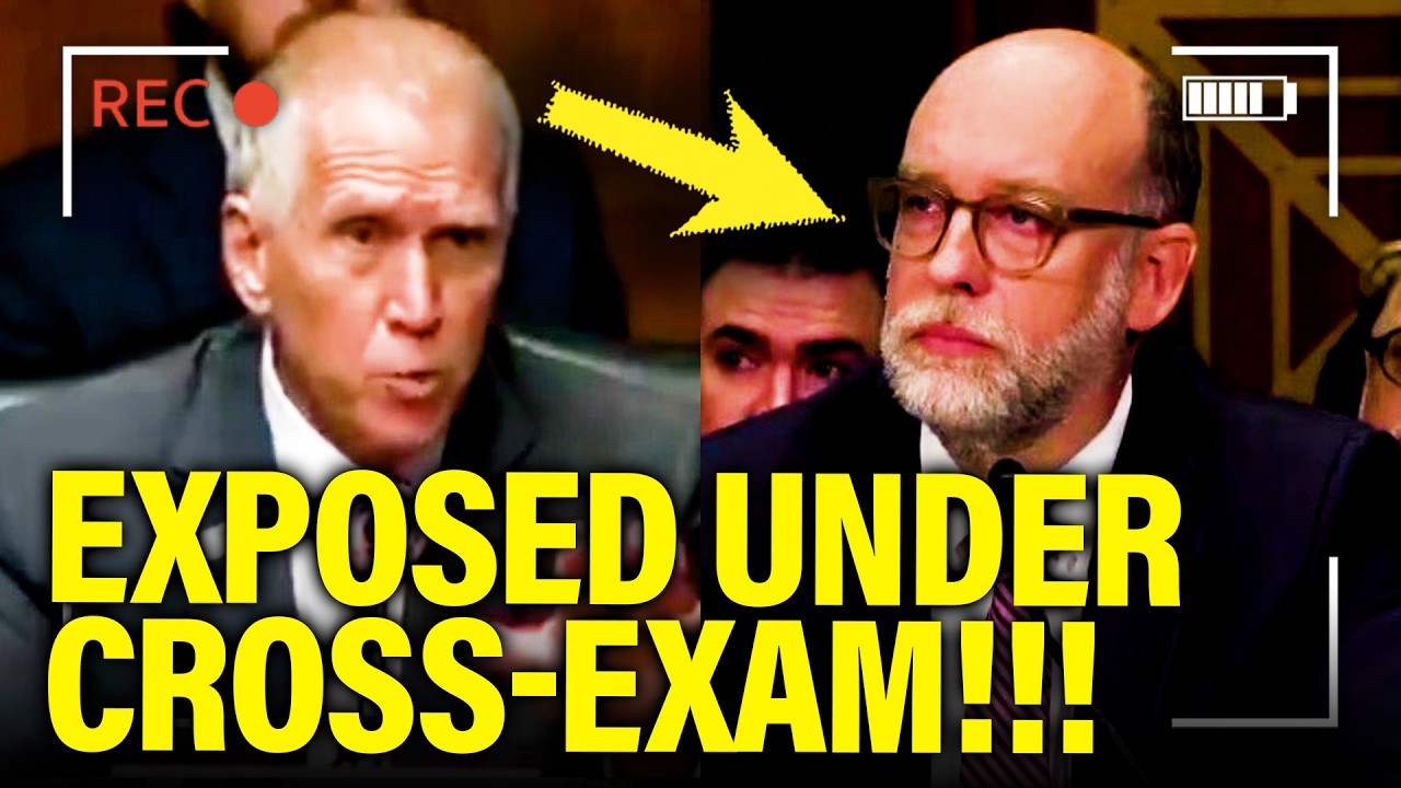 Trump Witness QUICKLY COLLAPSES under CROSS-EXAM at SENATE!!