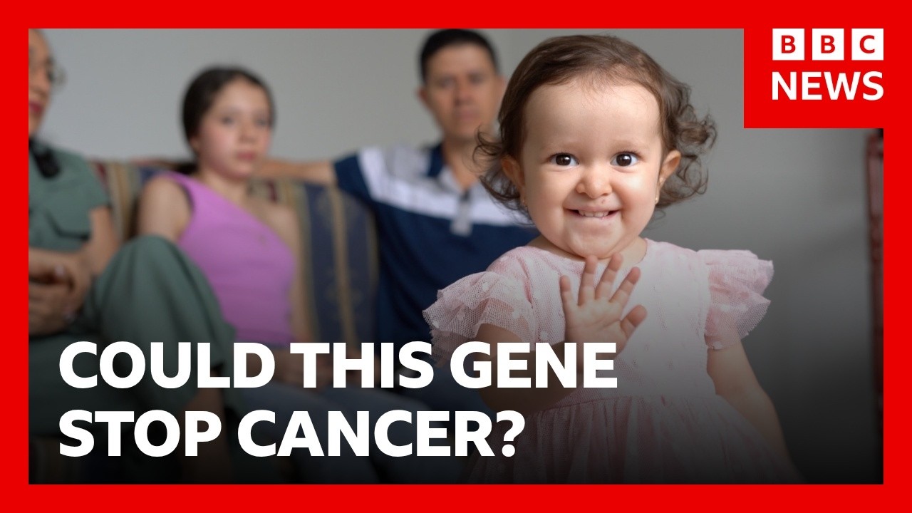 The community that might hold the key to treating cancer | BBC News