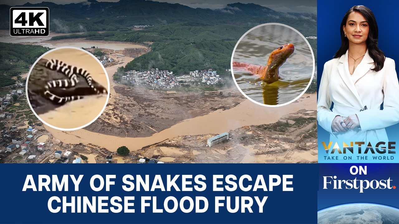 Typhoon Maysak Batters China, Lets Loose Swarms of Snakes  | Vantage on Firstpost | 4K