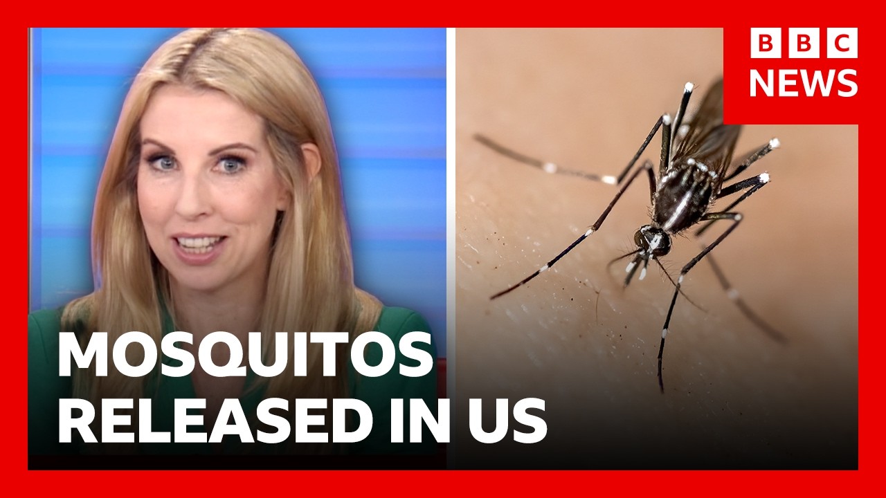 Thousands of mosquitos being released in Washington DC | BBC News