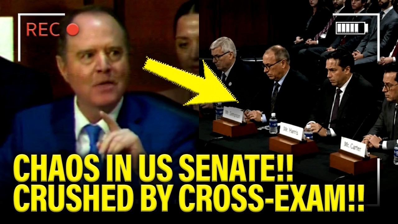 TOTAL Chaos ERUPTS as Trump Judges FALL APART at HEARING!