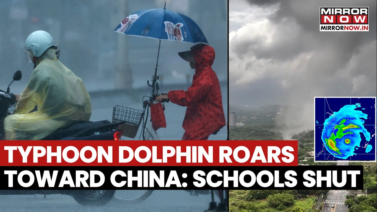 Typhoon Dolphin RAGES Toward China! Flights Cancelled, Schools Shut As 216 KM/H Winds Trigger ALERT