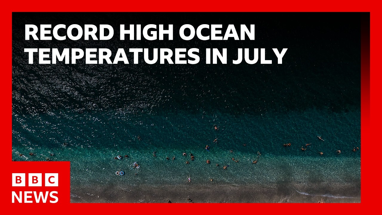 World’s oceans hit record-high July temperatures, EU’s climate monitoring service says | BBC News