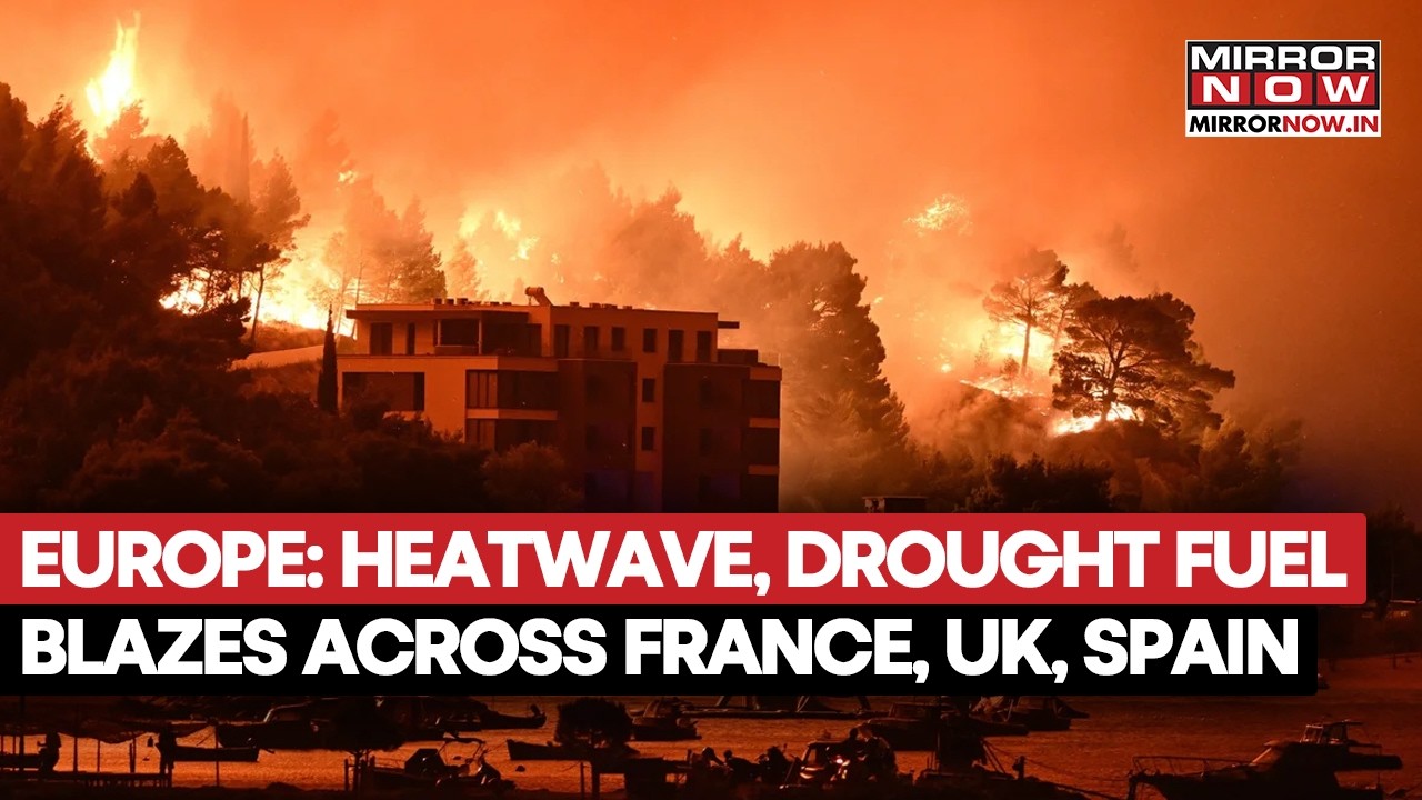 Europe Is Burning! Heatwave, Drought Fuel Wildfires Across France, Spain, UK, Germany, Croatia