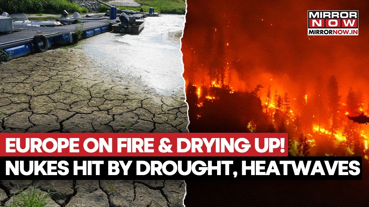Europe Heatwave Crisis: Nations Burn As Drought Dries Rivers, Threatens Nuclear Plants | Watch