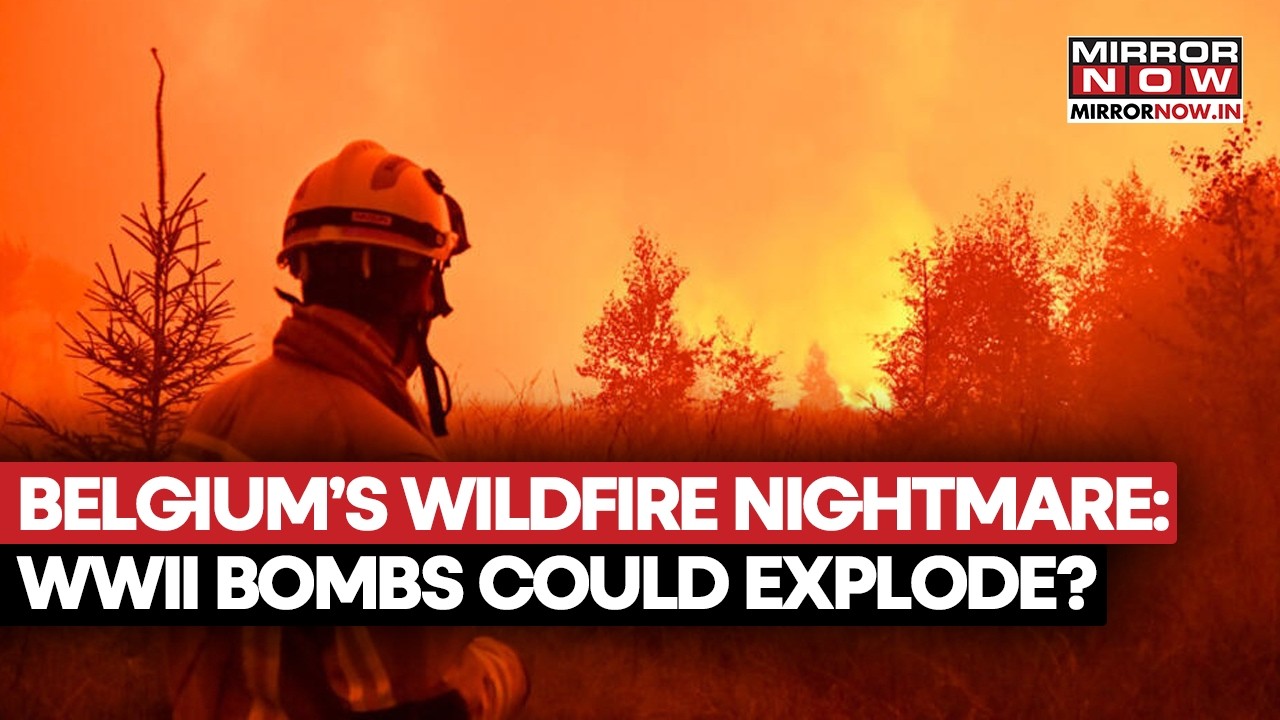Europe Wildfire Crisis: Belgium Fire Burns Underground Amid Hidden WWII Bomb Danger | WATCH
