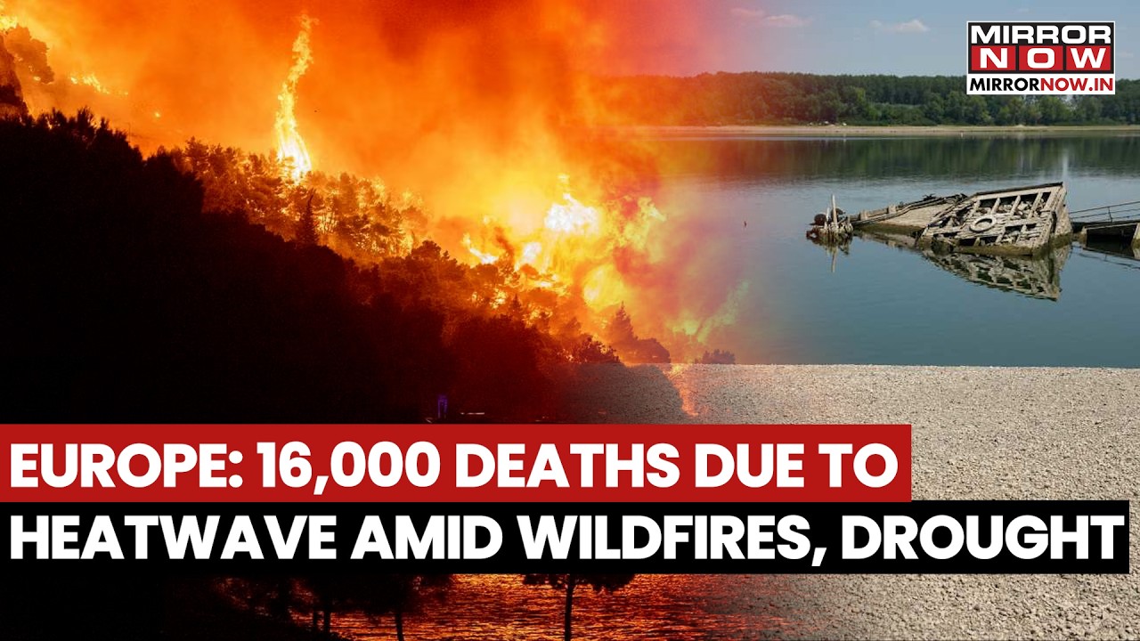 Europe Struggles With Wildfires, Drought, At Least 16,000 Deaths Reported Due To Heatwave | Watch
