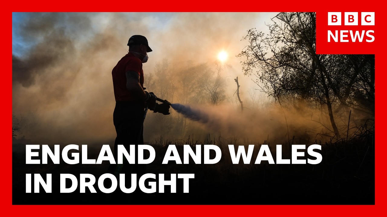 Fire crews still dealing with a “significant number” of fires across Wales and England | BBC News
