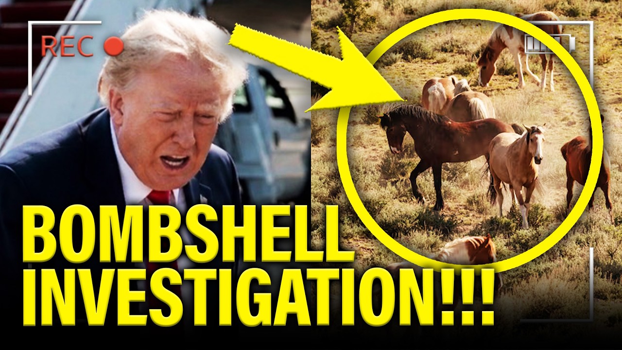 Trump’s HIDDEN Project 2025 Plot Just GOT EXPOSED…