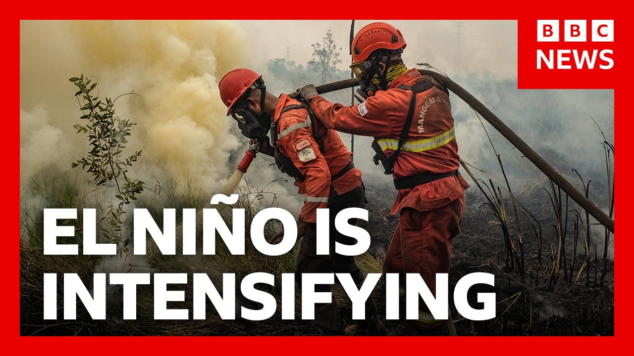 ‘Godzilla’ El Niño is hitting us already. Here’s how | BBC News