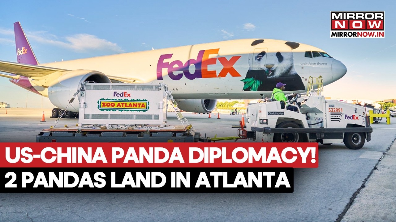 US-China Panda Diplomacy Returns! Two Giant Pandas Arrive In Atlanta From China After Xi-Trump Meet